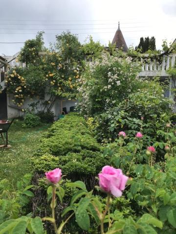 Un Paradis De Verdure En Plein Centre Ville Périgueux Zewnętrze zdjęcie